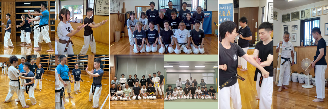 Uechi Ryu Karate-Do