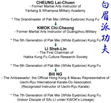 Bill Ng Hong Kong HK Pak Mei (White Eyebrow) Kung Fu