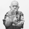 Pak Mei (white eyebrow) Master LI Shek Lin